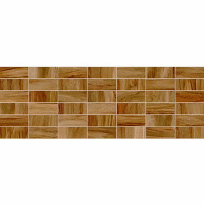 Aitana MOSAIC TEKA / 214x610