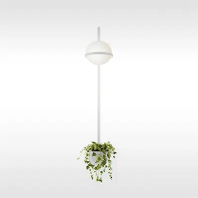 PALMA 3714 Design by Antoni Arola图像