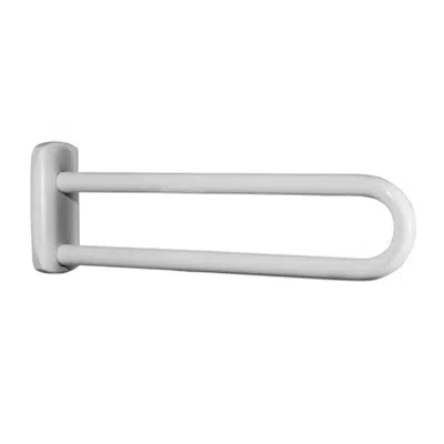 obraz dla Fixed wall-mounted grab bars 