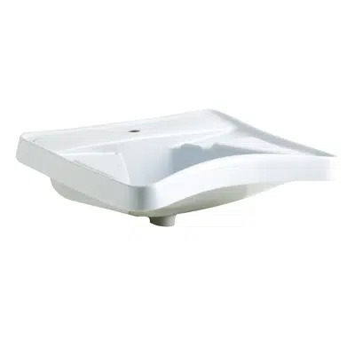 Ergonomic Sink With Elbow Rests B40CMS01 için görüntü