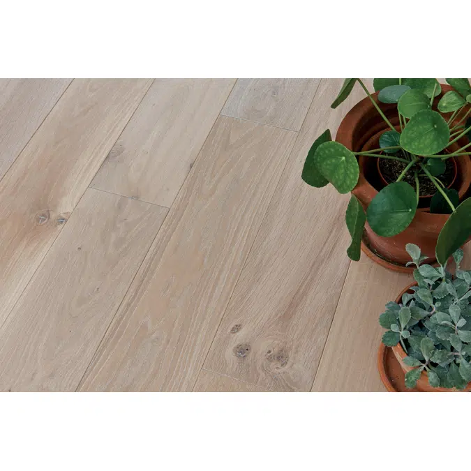 Wood floor French oak Zenitude Tufeau, Diva