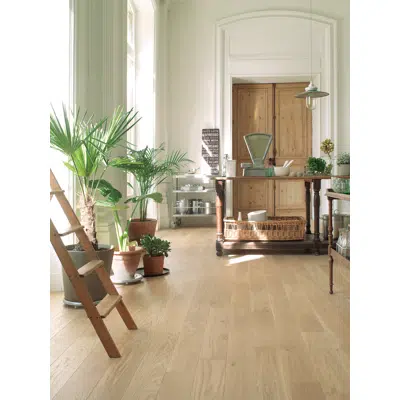 Wood floor French oak Tradition Bois flotté, Alto 이미지