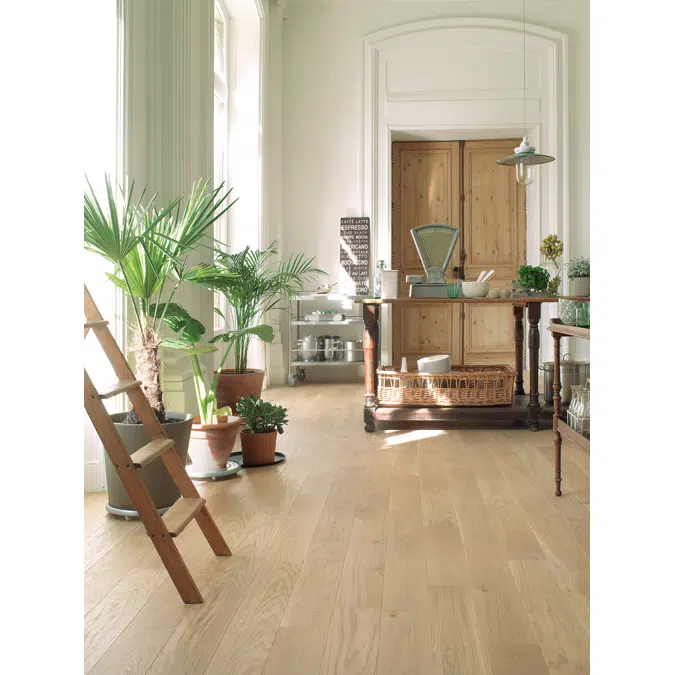 Wood floor French oak Tradition Bois flotté, Alto