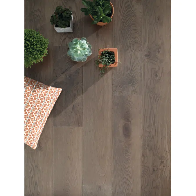 Wood floor French oak Zenitude Argile, Diva