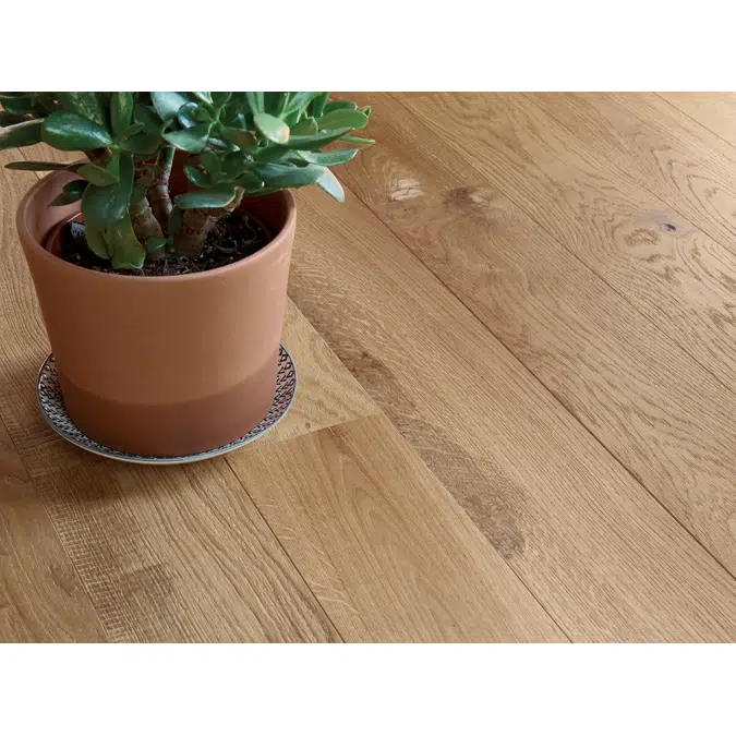 Parquet Chêne Zenitude-Salvagio Huile naturelle, Diva