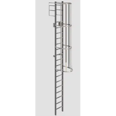 รูปภาพสำหรับ 532 Cage Ladder with Roofover Rail Extensions
