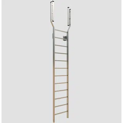 Image for 504 Tubular Rail Low Parapet Access Ladder with Walk-Through-Rail Extensions