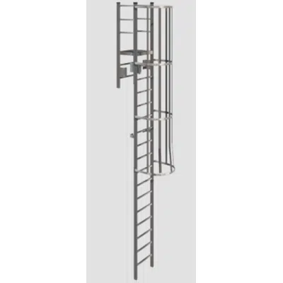 รูปภาพสำหรับ 533 Cage Ladder with High Parapet Access, Platform and Return