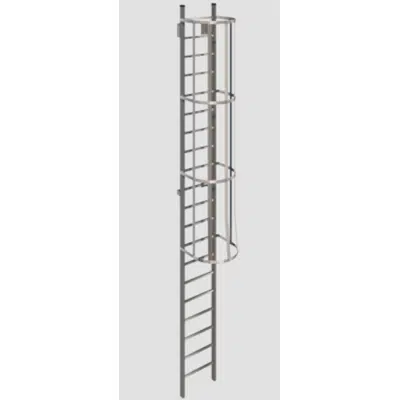 รูปภาพสำหรับ 531 Cage Ladder