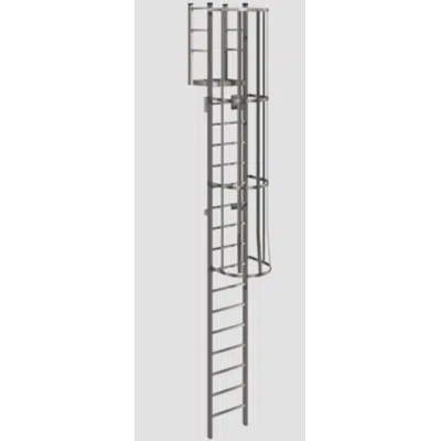 รูปภาพสำหรับ 533A Cage Ladder with Low Parapet Access, Platform and No Return