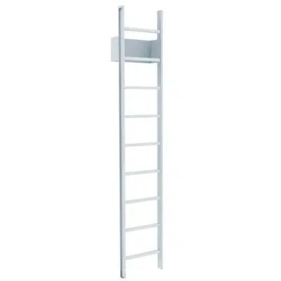 afbeelding voor 500 Access Ladder