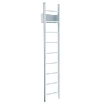 500 Access Ladder图像