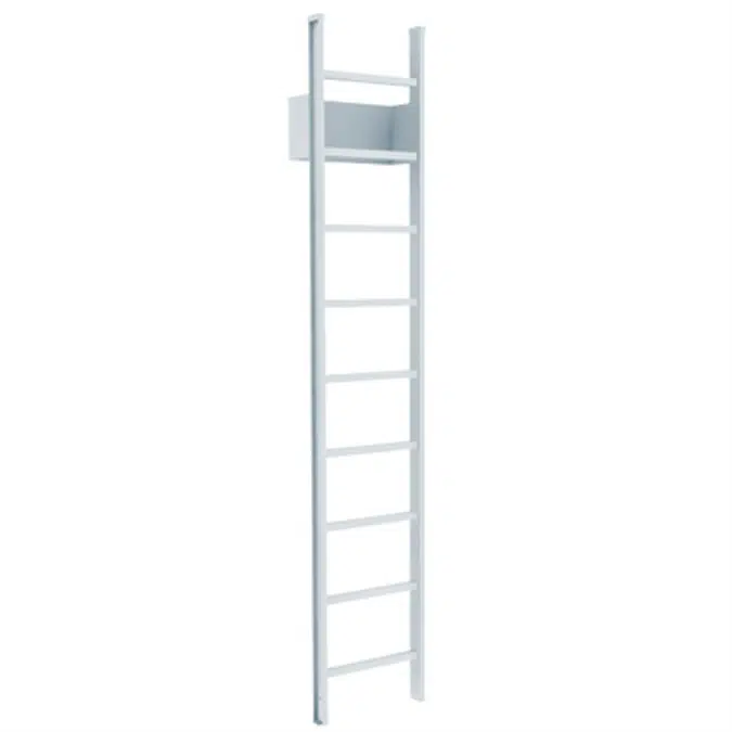 500 Access Ladder