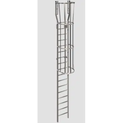 รูปภาพสำหรับ 534 Tubular Rail Low Parapet Cage Ladder with Walk-Through Rail Extensions
