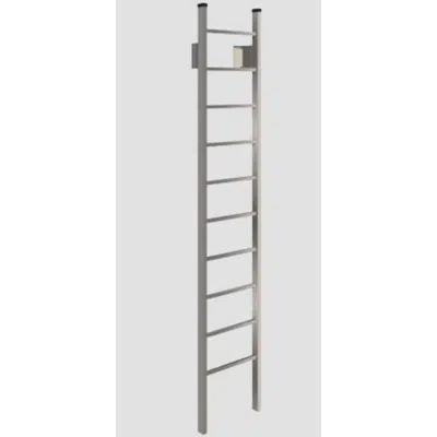 Image for 500 Standard Duty Channel Rail Fixed Access Aluminum Ladder