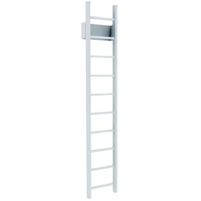 501 Access Ladder