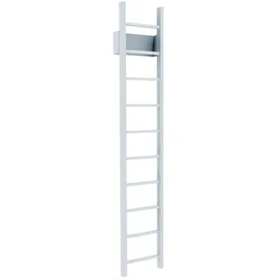 Image for 501 Access Ladder