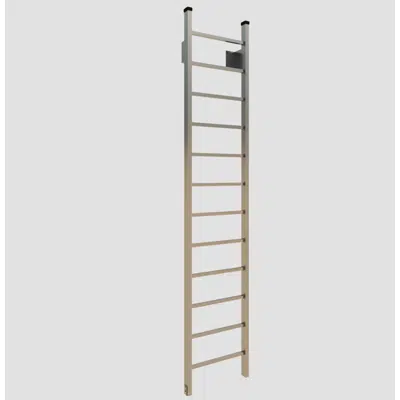 Image for 501 Heavy Duty Tubular Rail Fixed Access Ladder