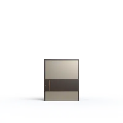 Image for PIRNAR PIVOT ENTRANCE DOORS P_06