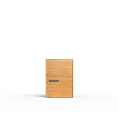 Image for PIRNAR PIVOT ENTRANCE DOORS P_05