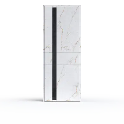 Image for PIRNAR PIVOT ENTRANCE DOORS P_01