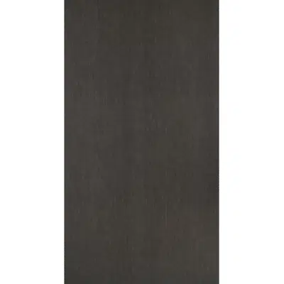 Image for Panneau décoratif d'interieur Chêne de fil gris anthracite R50. 66 G