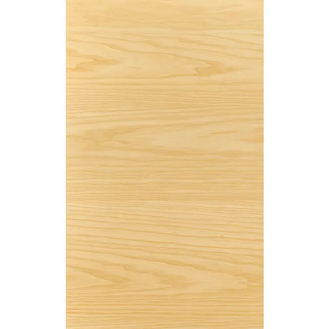 Woodline Ash backsplash N628