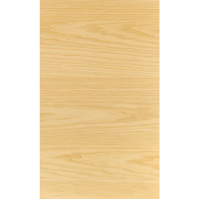 Woodline Ash backsplash N628