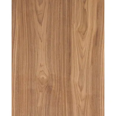 Image pour Noyer US dosse N541