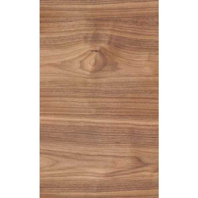 Noyer US dosse N541
