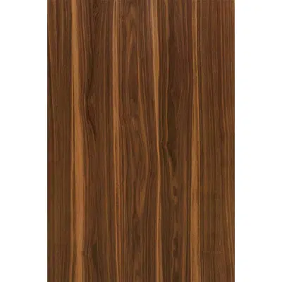 Image for American walnut Dolen 61