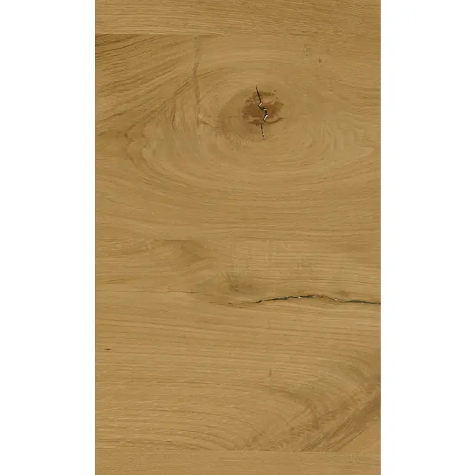 Oak Telor N329L