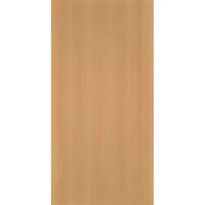 White beech Elwin N216L