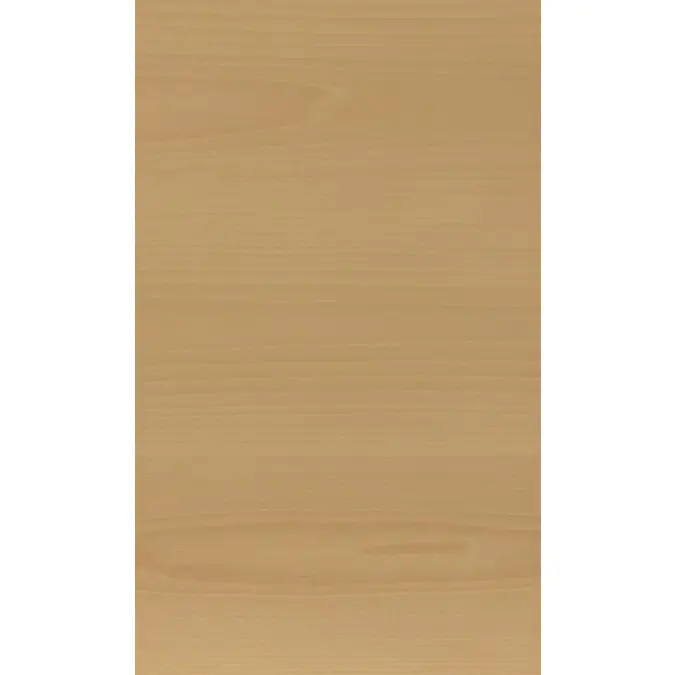 White beech Elwin N216L