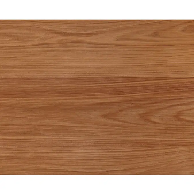 Woodline Walnut US back N641