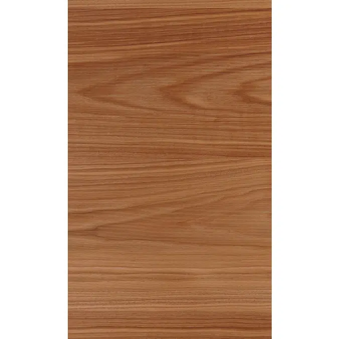 Woodline Walnut US back N641