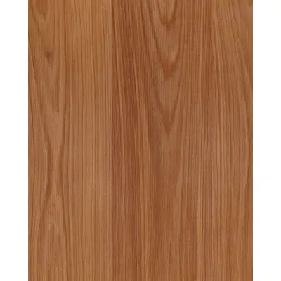 kép a termékről - Woodline Walnut US back N641