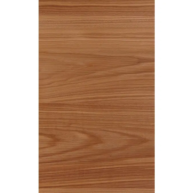 Woodline Walnut US back N641