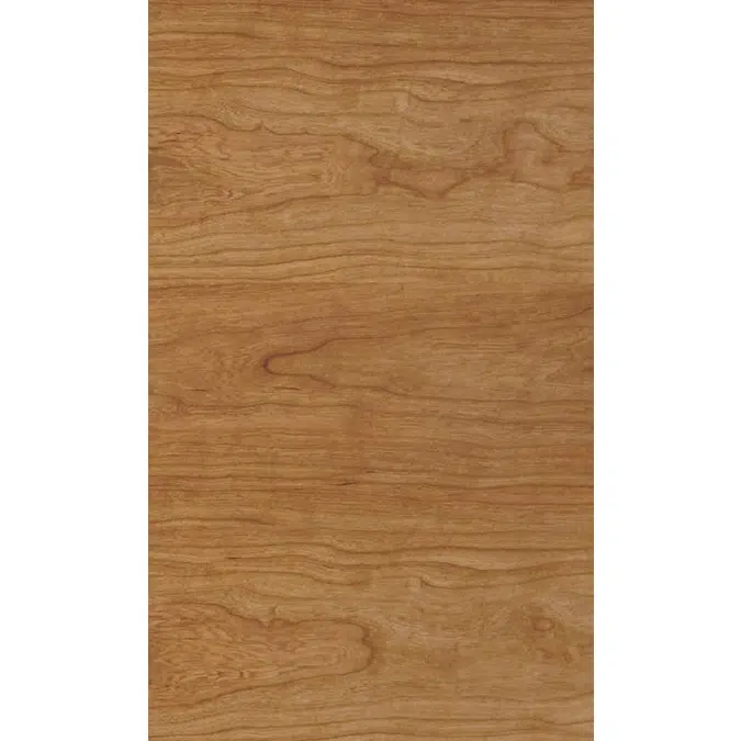 Cherry US dosse N513L