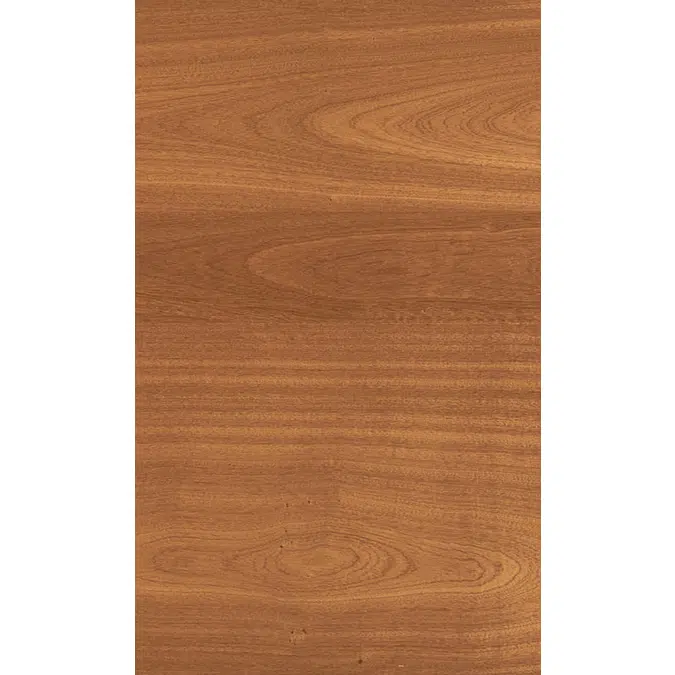 Mahogany back N221L