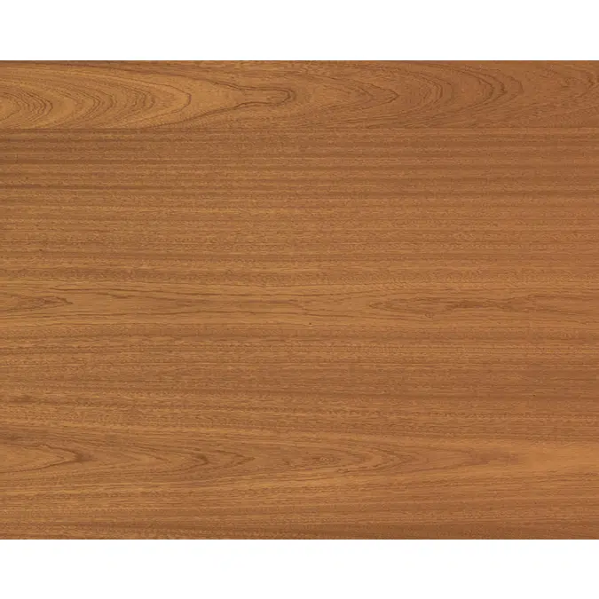Mahogany back N221L