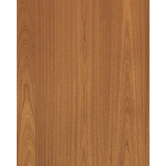 Mahogany back N221L