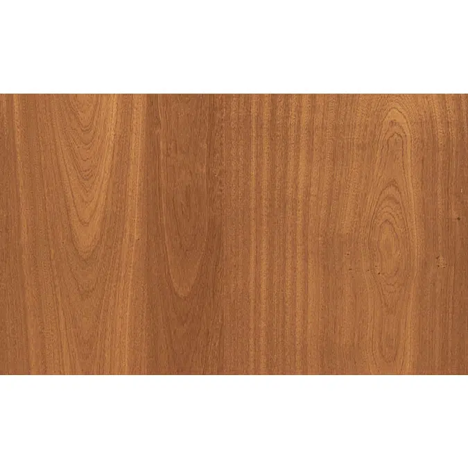 Mahogany back N221L