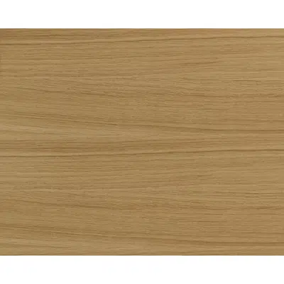 Image for Cabinet-making quality oak N219