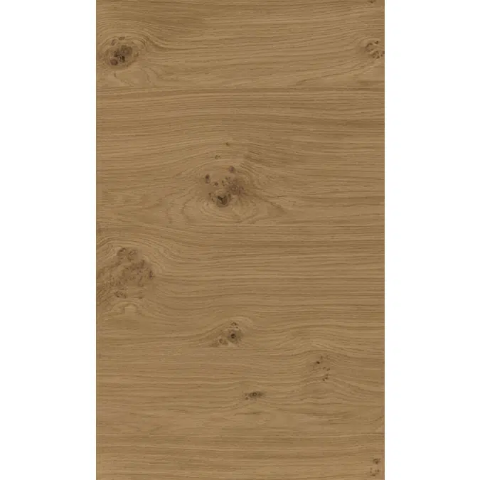 Oak with knots N220L