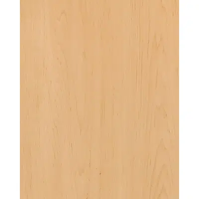 imagen para Peeled birch N526