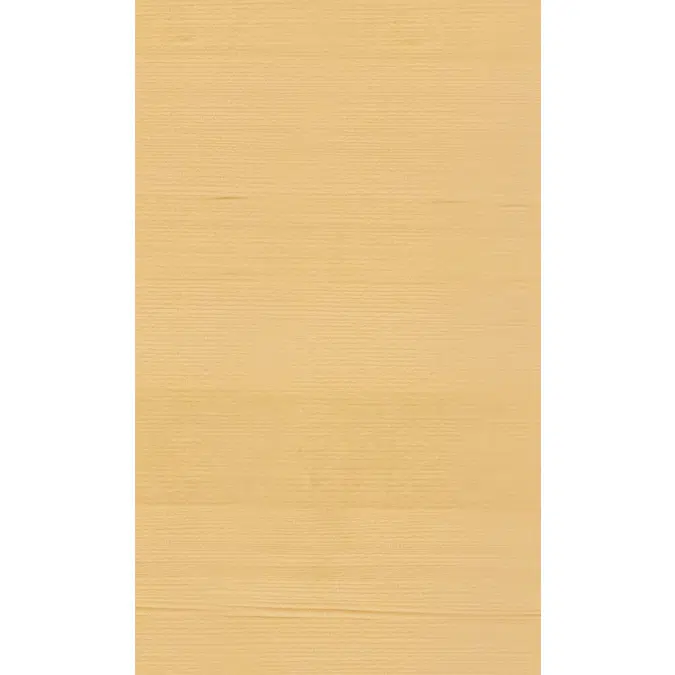 Spruce wire and quarter N253L