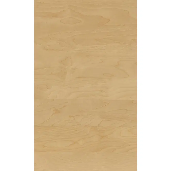 Peeled birch N126