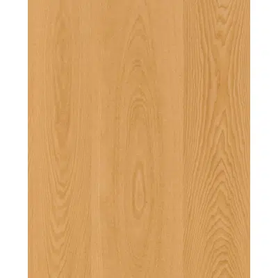Image pour Frêne dosse N828LRO