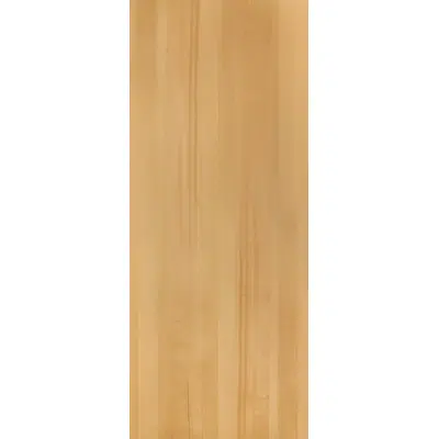 Image for Spruce Tiren N553L